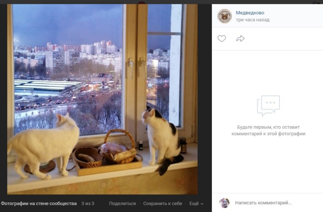 Фото дня: взгляд из окна на Медведково