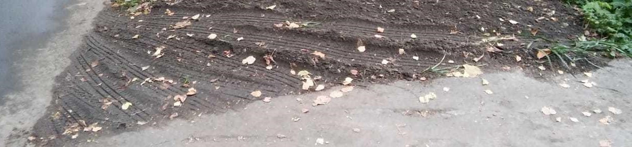 Во дворе на Молодцова привели в порядок газон